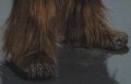 A photo of some Wookiee feet from the Dressing a Galaxy book.