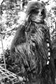 A behind the scenes photo of Chewie from Return of the Jedi.