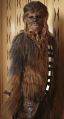 Publicity photo of Chewie from The Empire Strikes Back.