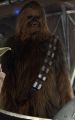 A screenshot of Chewie from Revenge of the Sith.