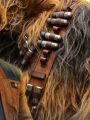 A photo of the Solo bandolier from the Story Sound book.