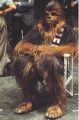 A behind the scenes photo of Chewie from the original Star Wars.