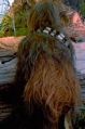 A screenshot of Chewie from Return of the Jedi.
