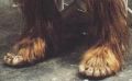 Behind the scenes photo of Chewie's feet from Star Wars.