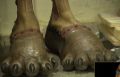 A screenshot of Wookiee feet from Revenge of the Sith blu-ray featurette.