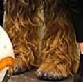 A photo of Chewie's feet from Princes William and Henry visiting the set of The Last Jedi.