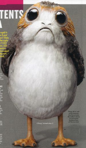 An image of a porg from People Magazine.