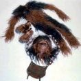 An image of the Chewie suit from the Behind the Magic CD-ROM.