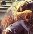 A screenshot of Chewie from The Empire Strikes Back.