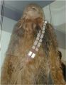 A photo of Chewie from the Magic of Myth exhibit.